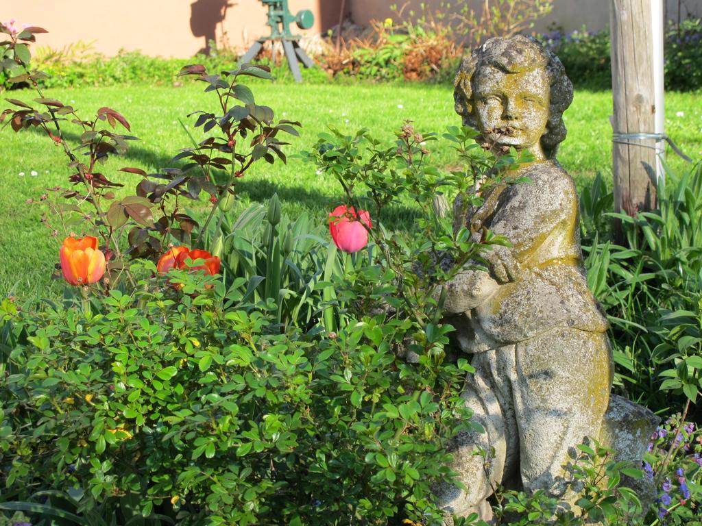 Weinhof Michael Morbach Hotel Zeltingen-Rachtig Luaran gambar