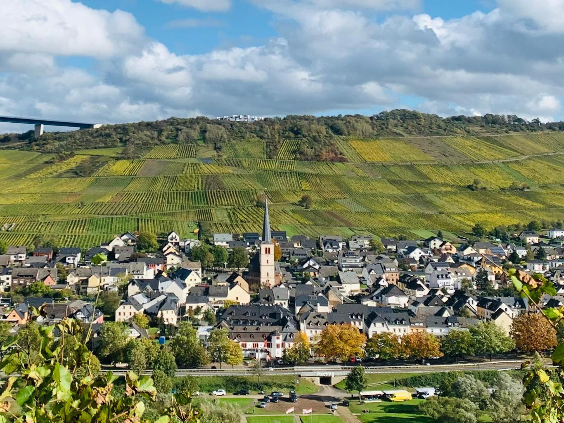 Weinhof Michael Morbach Hotel Zeltingen-Rachtig Luaran gambar